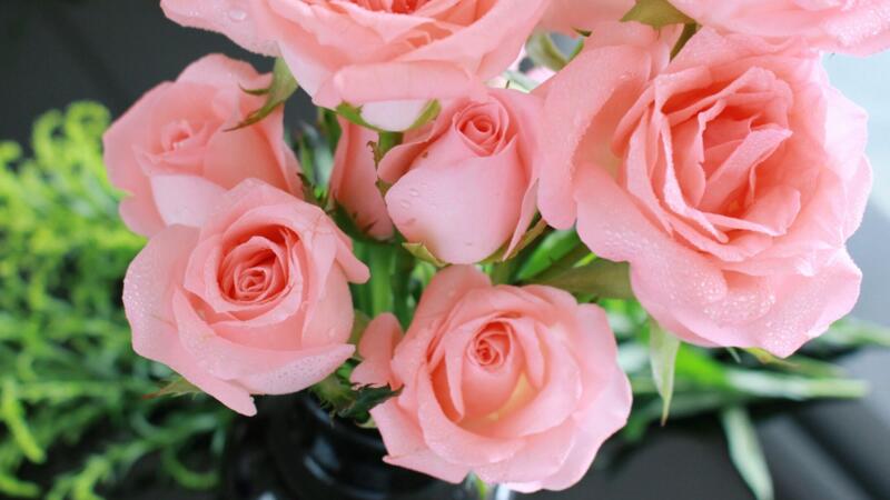 粉色玫瑰花代表什么意思_粉色玫瑰代表_11朵粉色玫瑰代表什么