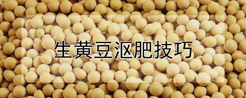 生黄豆沤肥技巧
