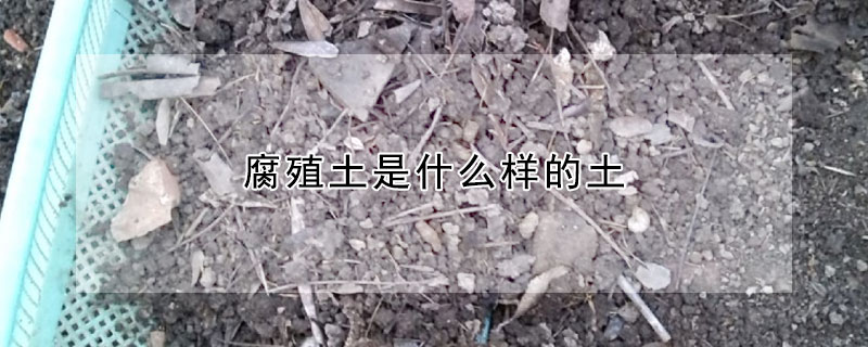 腐殖土是什么样的土
