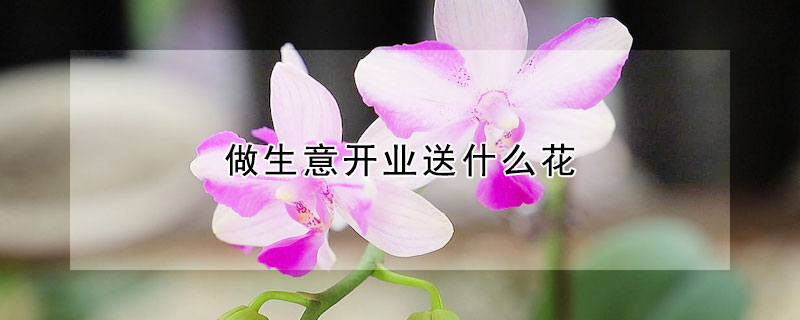 做生意开业送什么花