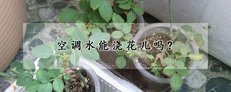 空调水能浇花儿吗?