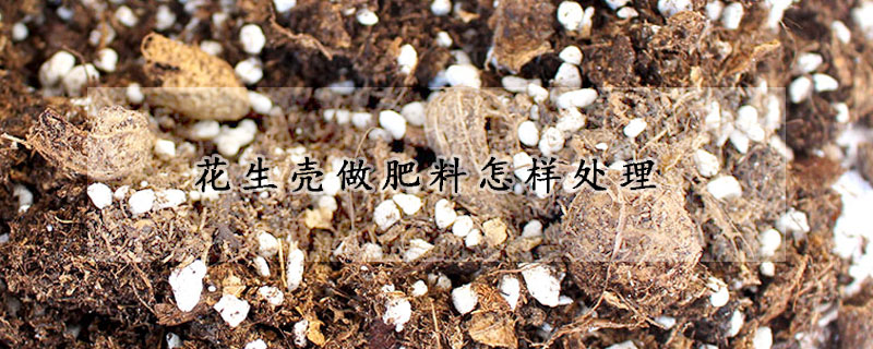 花生壳做肥料怎样处理