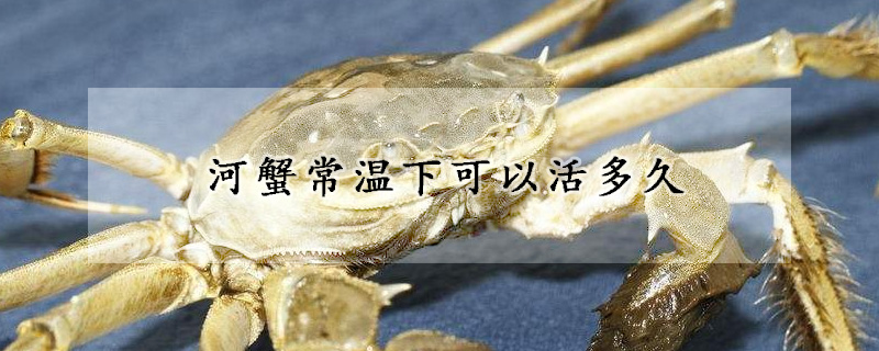 河蟹常温下可以活多久