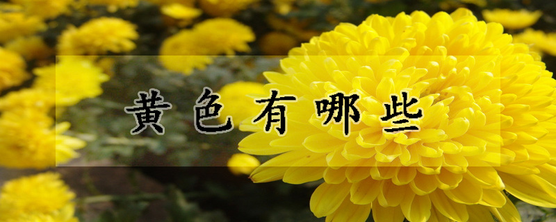 黄色有哪些