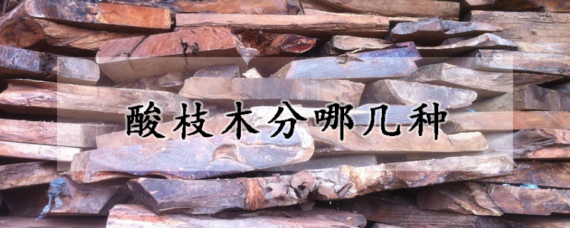 酸枝木分哪几种