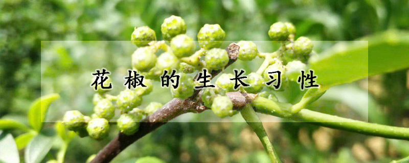 花椒的生长习性