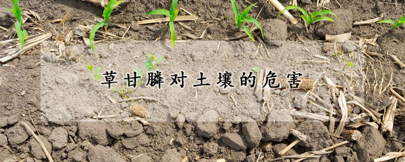 草甘膦对土壤的危害