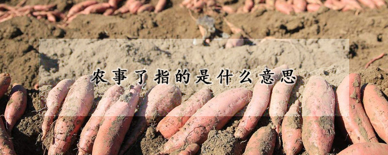 农事了指的是什么意思