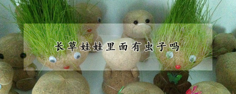 长草娃娃里面有虫子吗