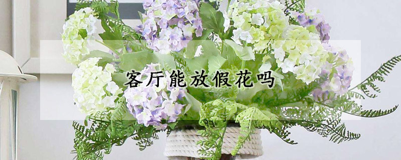 客厅能放假花吗