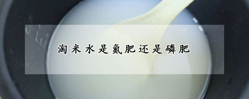 淘米水是氮肥还是磷肥