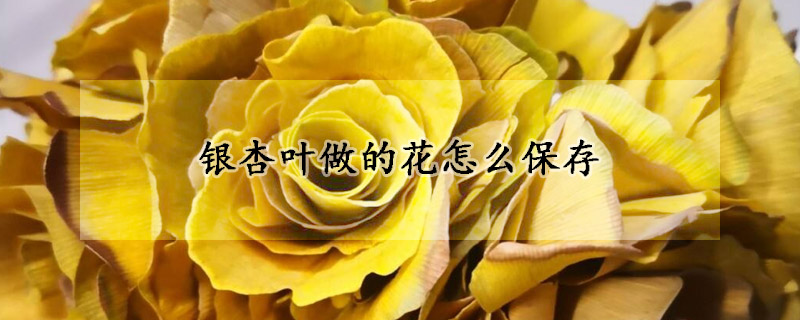 银杏叶做的花怎么保存