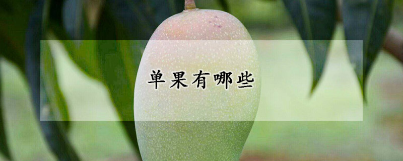 单果有哪些