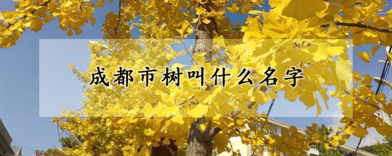 成都市树叫什么名字