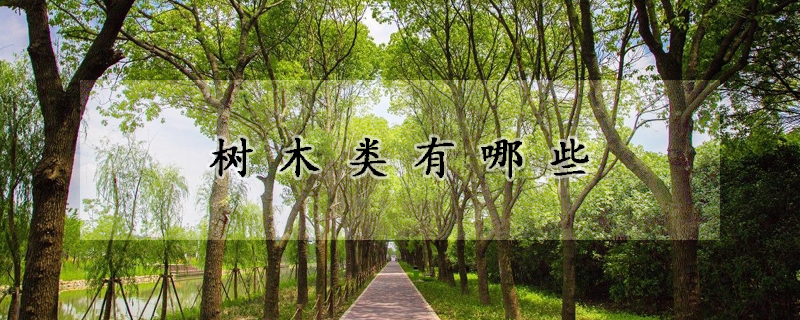 树木类有哪些