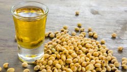 大豆油的功效与作用 大豆油的主要成分
