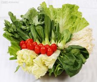 霜降节气适合种植哪些蔬菜？