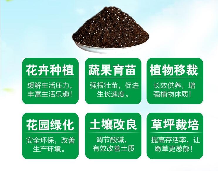 康乃馨用什么肥料,康乃馨肥料推荐(康乃馨营养液)