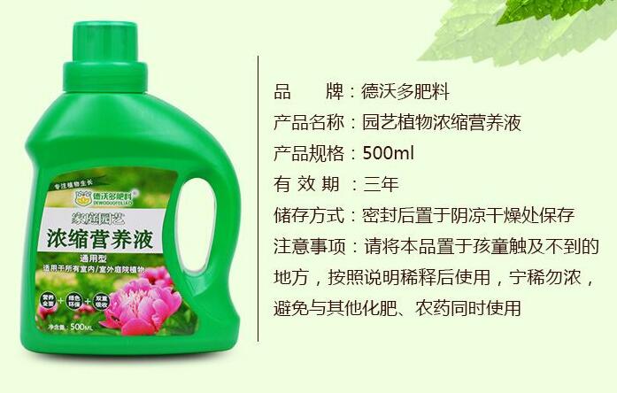 康乃馨用什么肥料,康乃馨肥料推荐(康乃馨营养液)