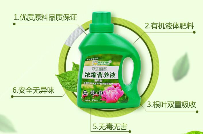一帆风顺用什么营养液,浓缩型营养液(发芽多发枝快)