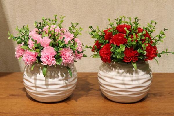 康乃馨花谢后怎么处理,修剪以及补充营养