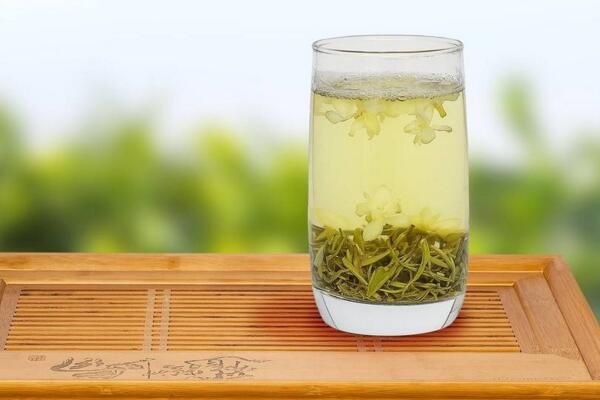茉莉花茶的好处,四大功效以及作用