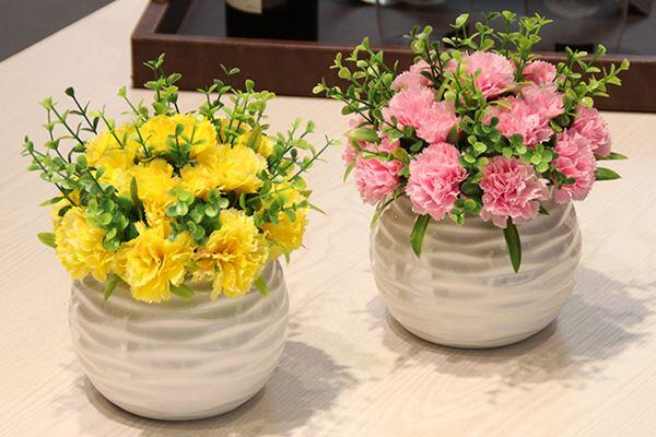 康乃馨品种分类,按照三种方法进行分类