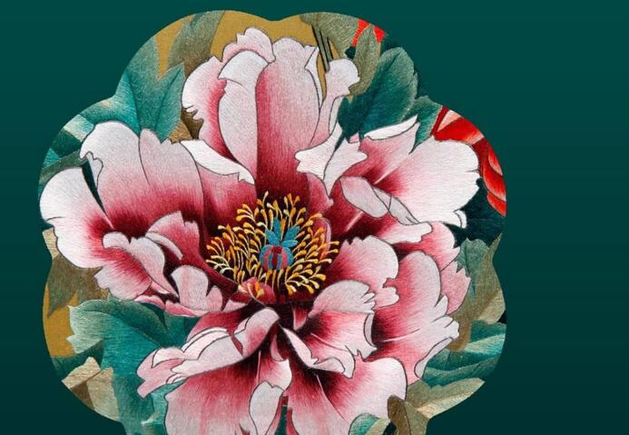 牡丹花有多少品种,按照花瓣细分有6种分类