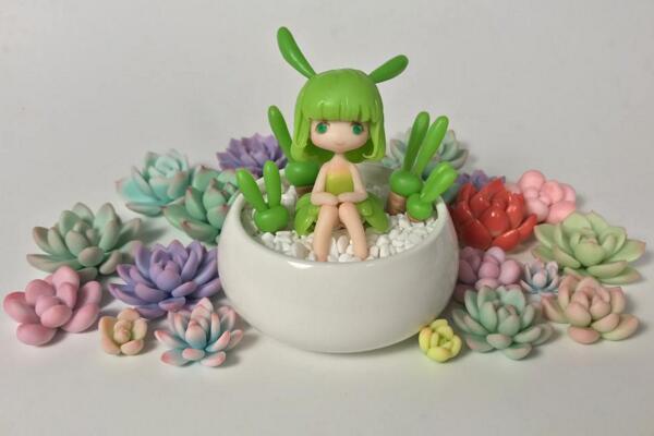碧光环怎么种植,4步即可完成碧光环的种植