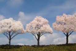 桃花和樱花怎么区别，可以从以下4点进行区分