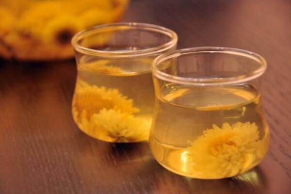 菊花茶可以天天喝吗,不建议天天饮用