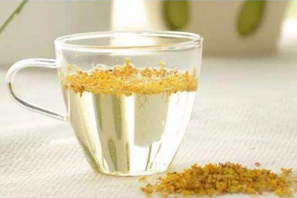 桂花茶不适合什么人,桂花茶的饮用禁忌