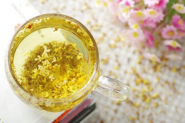 桂花茶不适合什么人,桂花茶的饮用禁忌