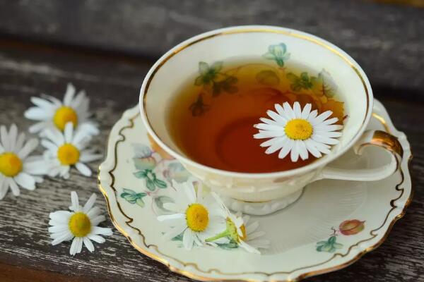 菊花茶什么季节喝,最适合在夏秋两季饮用