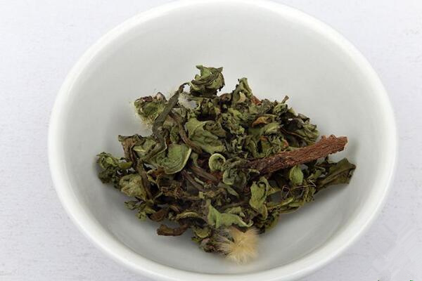 长期喝干蒲公英水好吗,长期饮用会导致腹痛、腹泻