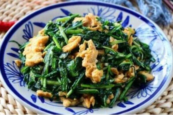 蒲公英怎么吃,凉拌、炒菜、煲汤