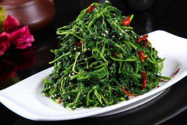 蒲公英怎么吃,凉拌、炒菜、煲汤