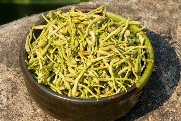 金银花孕妇能喝吗,只能少量饮用