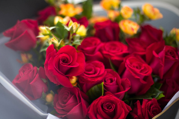 19朵玫瑰花的花语是什么，从一而忠/爱到永久