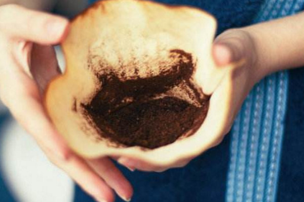 咖啡渣可以养花吗，咖啡渣养花的4大好处