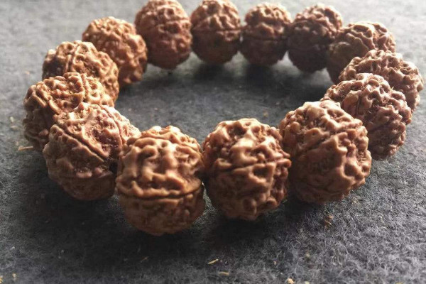 金刚菩提是什么植物的种子,金刚菩提子/圆果杜英