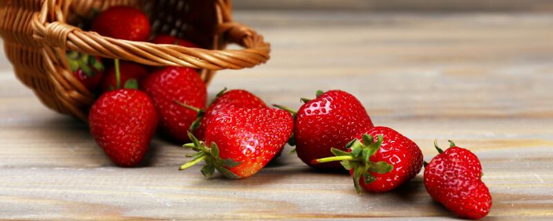关于草莓的知识