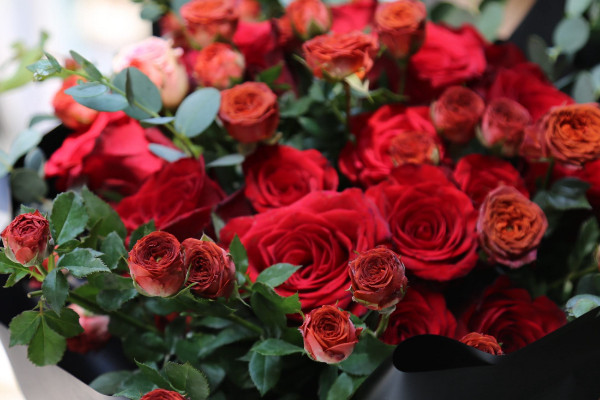 33朵红玫瑰的花语