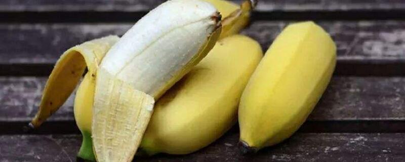 米蕉是凉性的吗