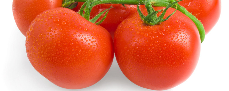 西红柿开花期如何施肥