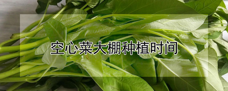 水果种植技术 蔬菜种植技术 茶叶的种类 食用菌栽培技术 农作物种植技术 发财农业网