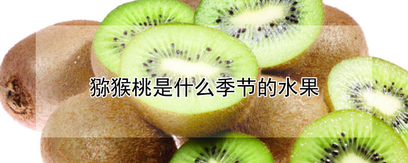 猕猴桃是什么季节的水果 —【发财农业网】