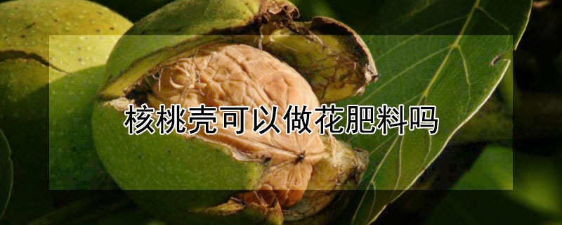 核桃壳可以做花肥料吗