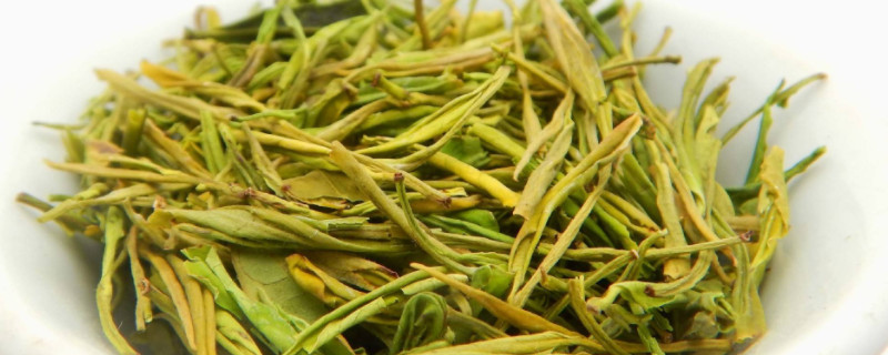 白茶的栽培与种植技术