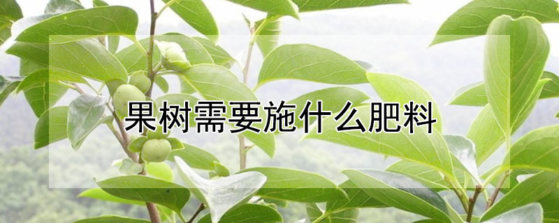 果树需要施什么肥料